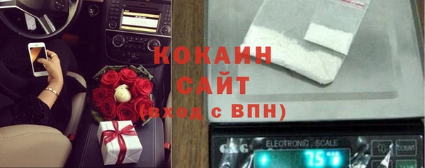 шишки Касимов