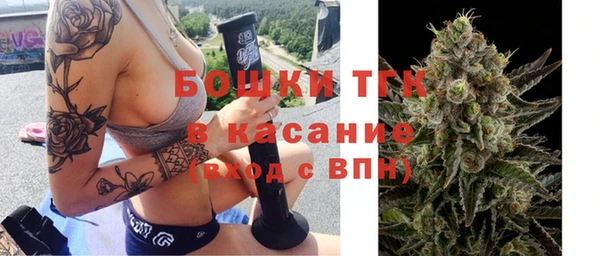 шишки Касимов