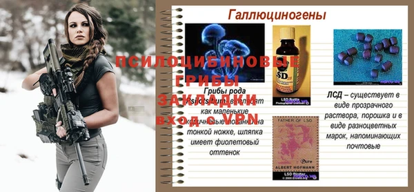 первитин Карпинск