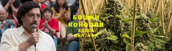 шишки Касимов