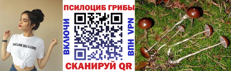 Галлюциногенные грибы мицелий  Купить закладки  Кирово-Чепецк 